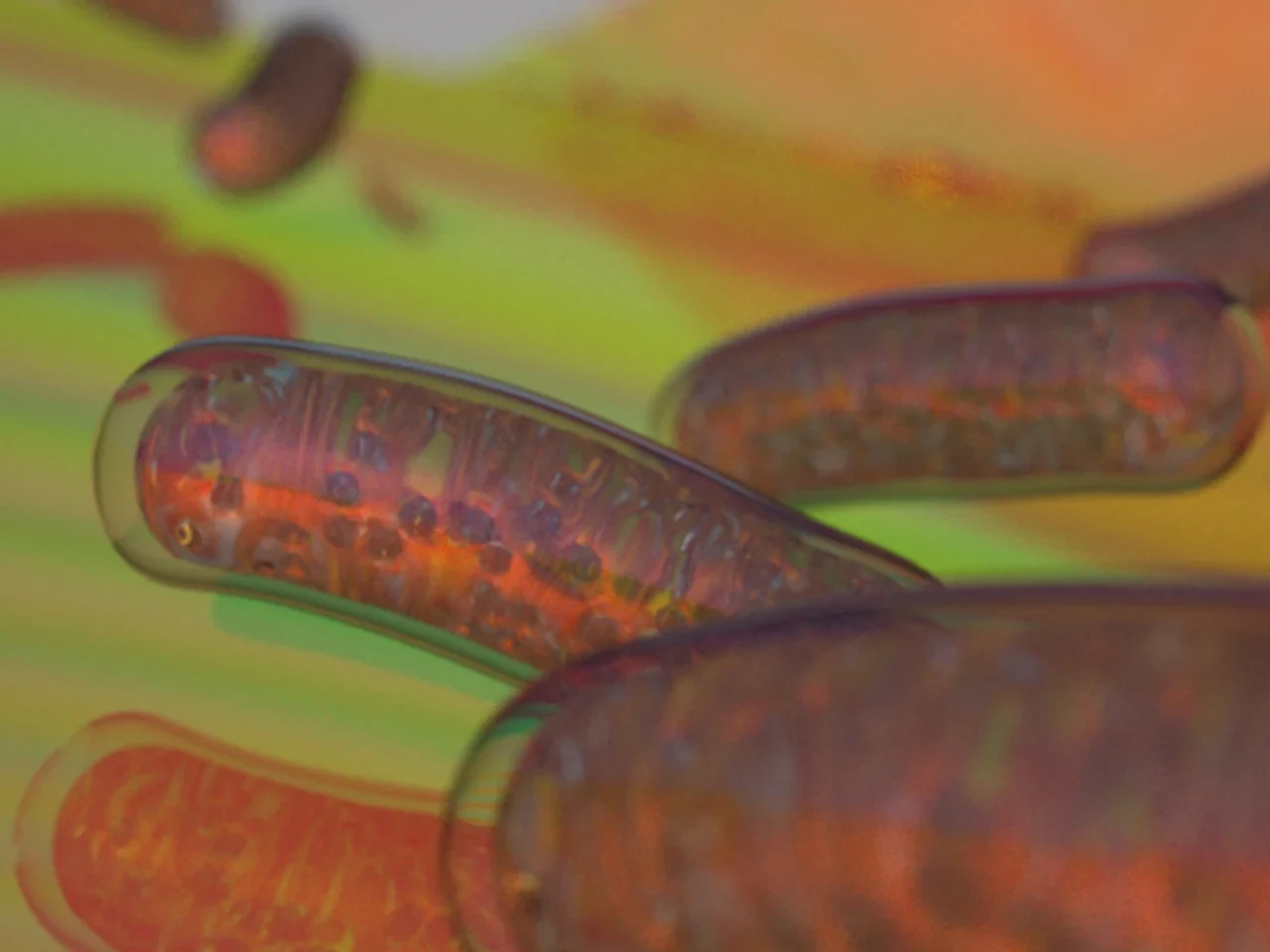 Mitochondrien (rot) sind die Kraftwerke der Zelle.