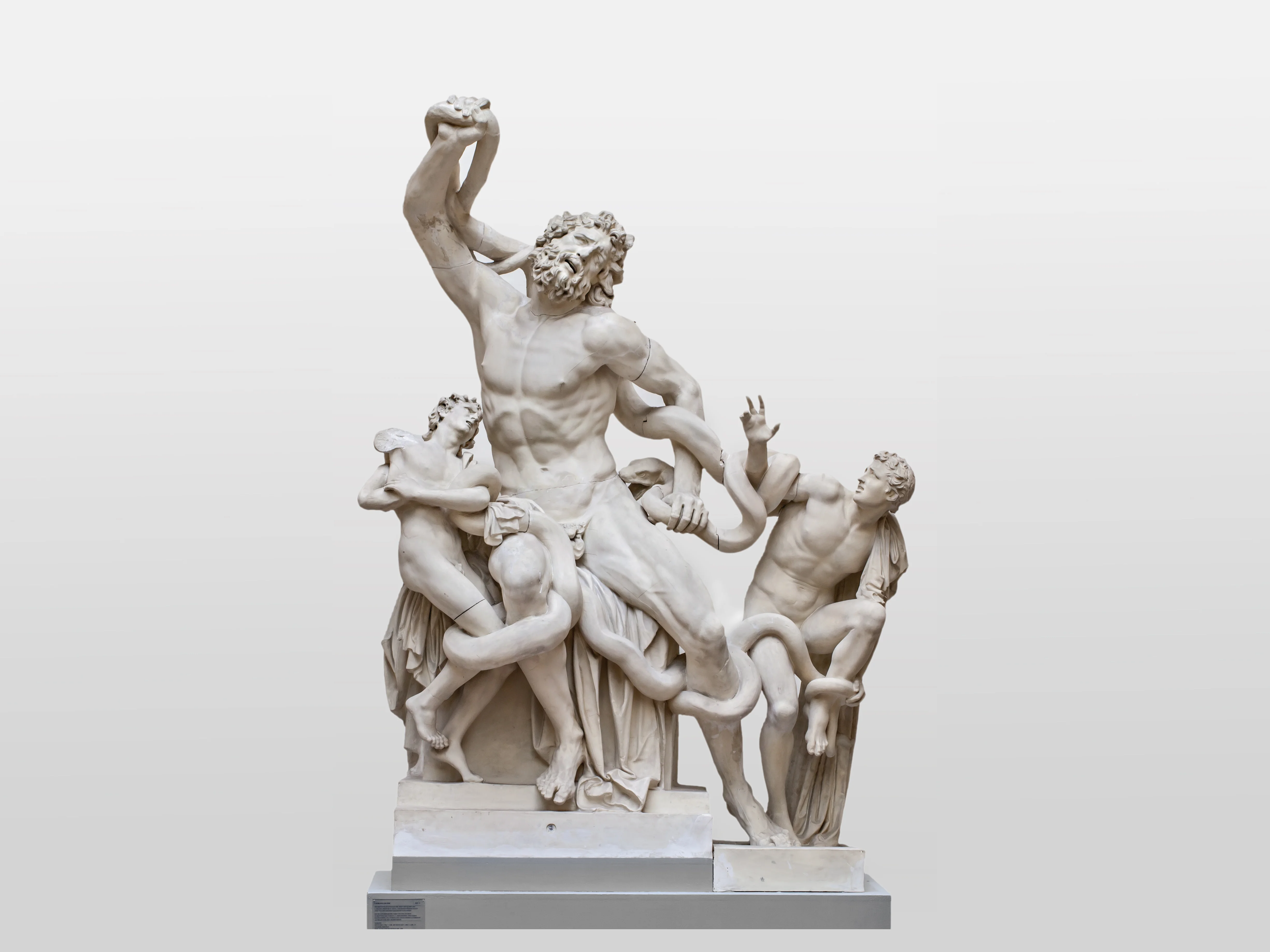 Die Laokoon-Gruppe im Akademischen Kunstmuseum der Universität Bonn