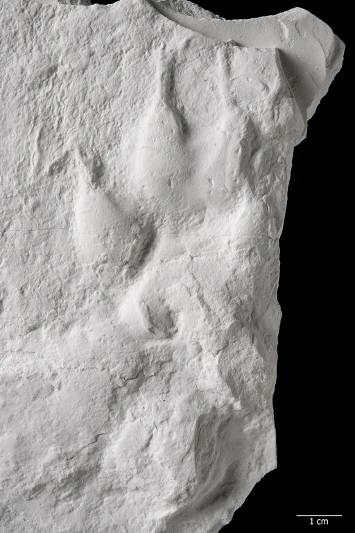 Studierende der Universität Bonn