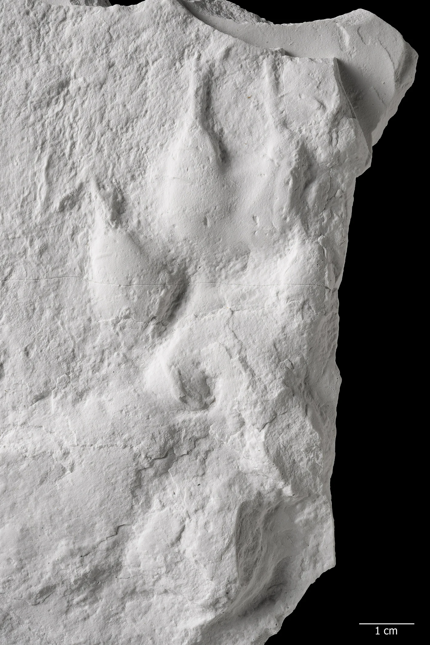 Studierende der Universität Bonn