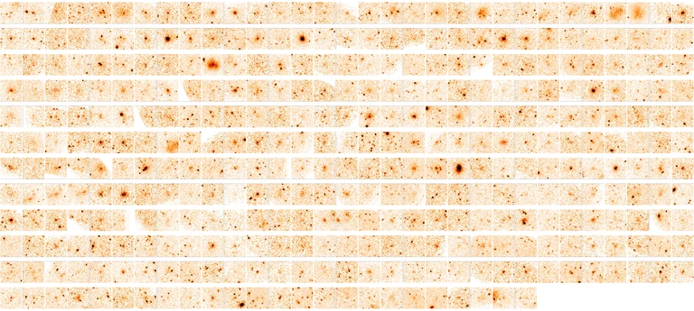 Das Mosaik zeigt die vom XMM-Newton-Satelliten