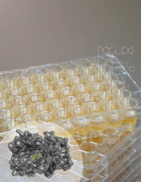 Hefe-Testsystem im Plattenformat,