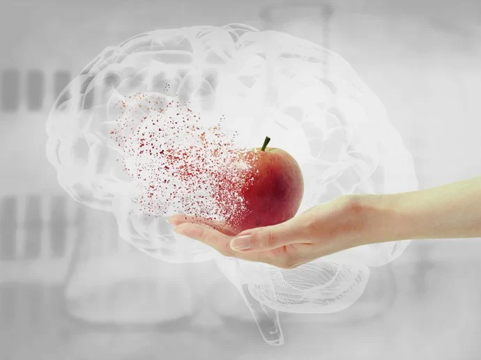 Beeinflusst die Ernährungsweise