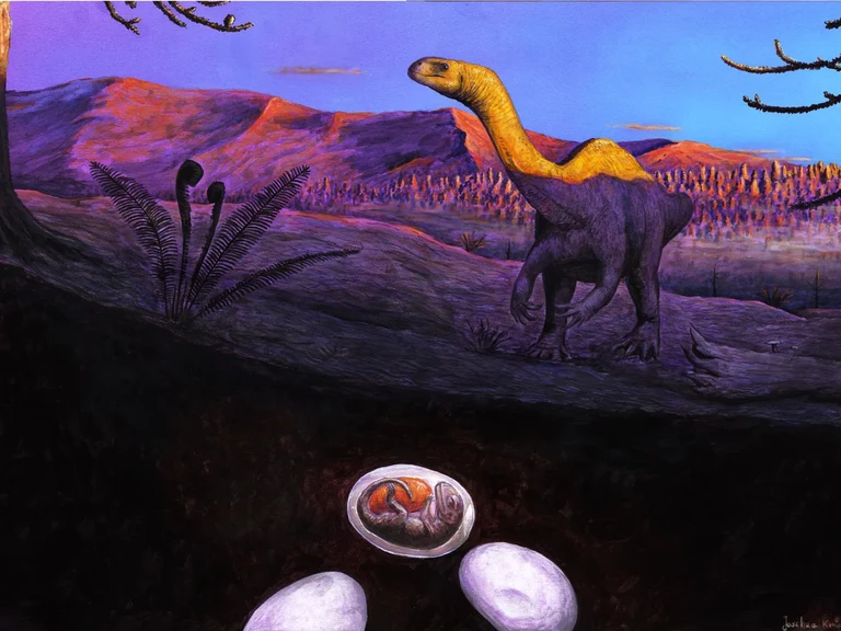 Künstlerische Darstellung: