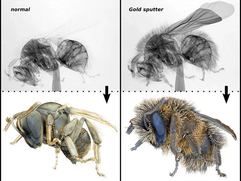 Neue Methode zur Darstellung von bisher unsichtbaren Oberflächendetails: