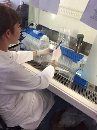 Aufbereitung der Wasserproben