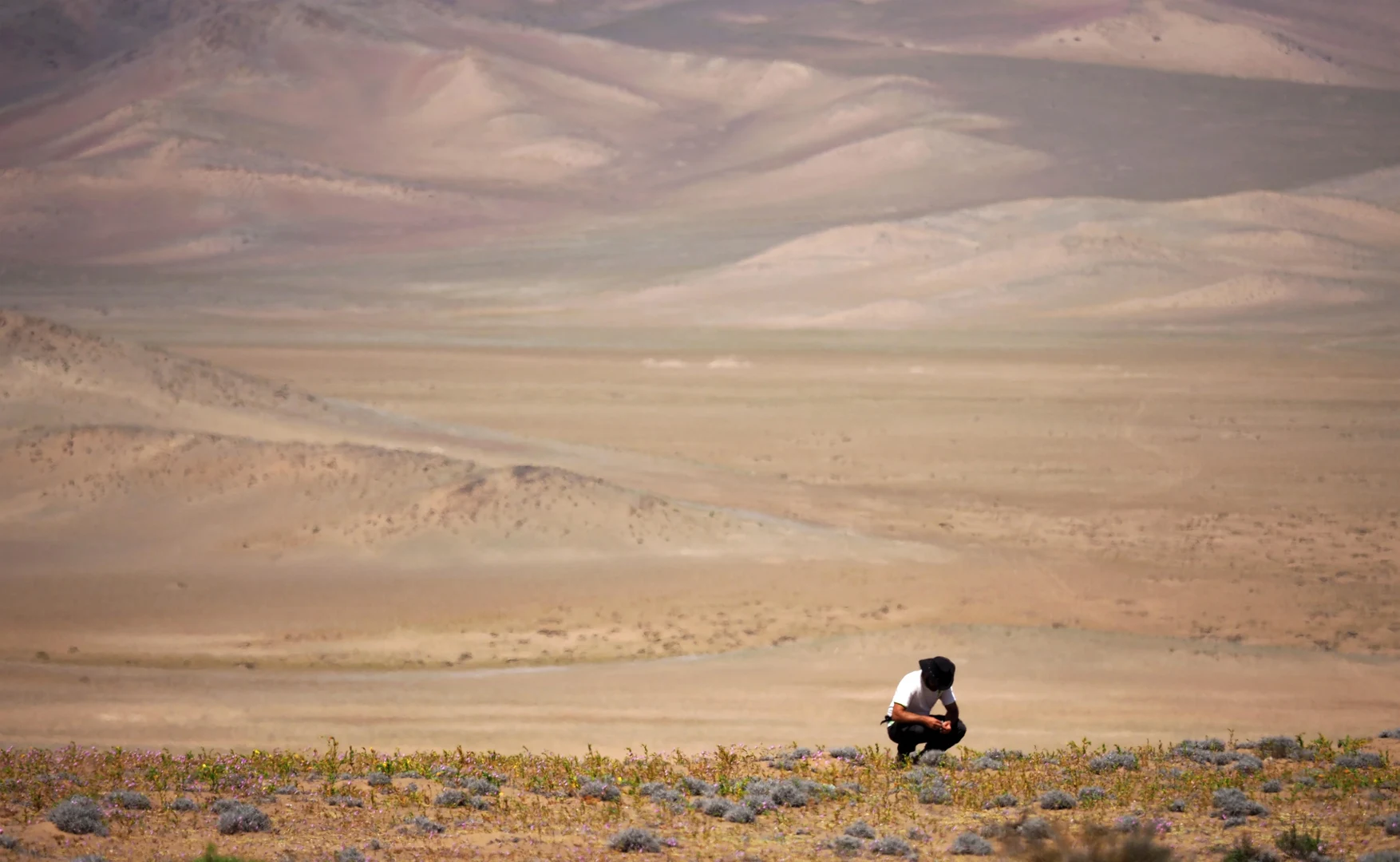 Die Weite der Landschaft