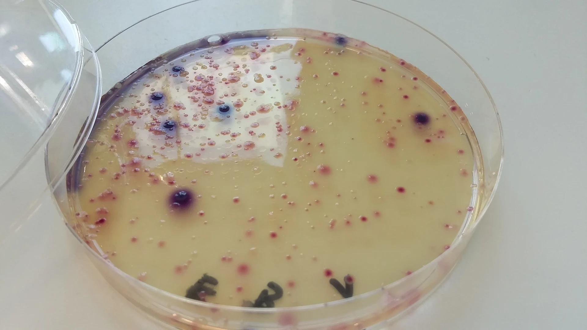 Wasseruntersuchung am IHPH: