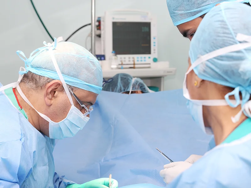 Informationsveranstaltung rund um Organspende und -transplantation