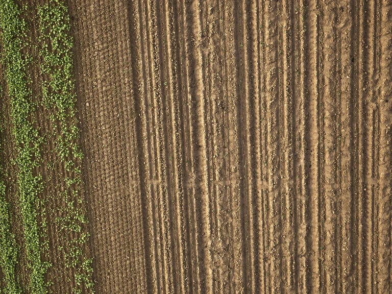 Das Start-Up Pheno-Inspect ist für die drohnenbasierte Kameraerkennung