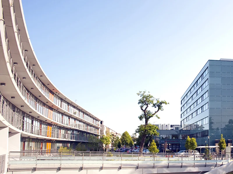 Das künstliche Gelenk – Mythos oder Wahrheit: