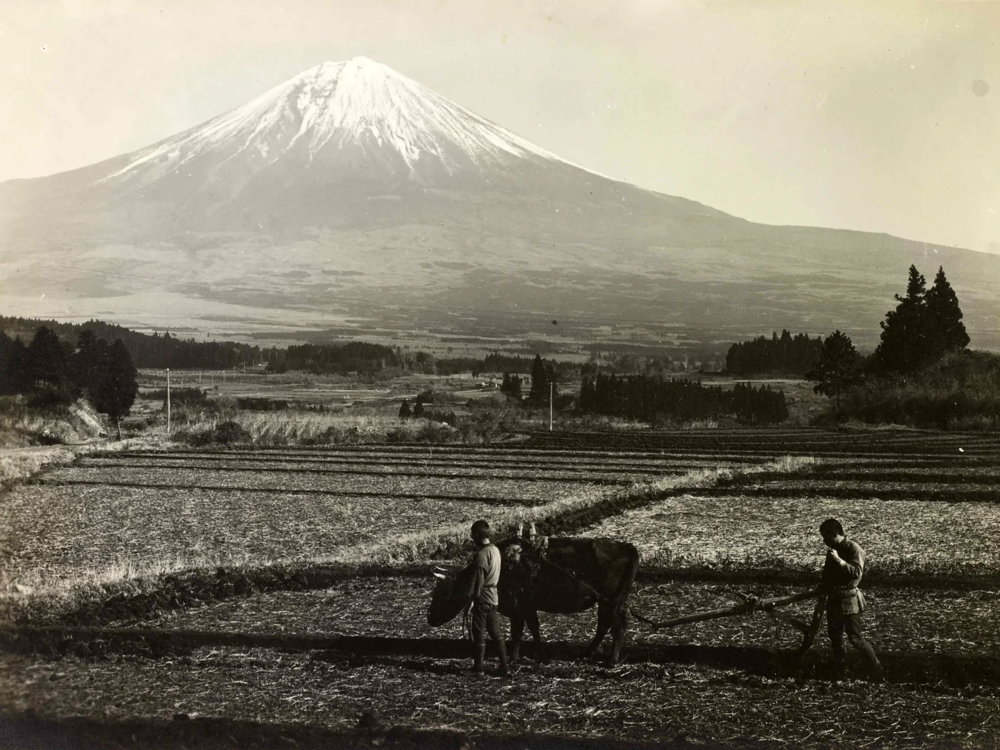 Der Fuji im Trautz-Nachlass