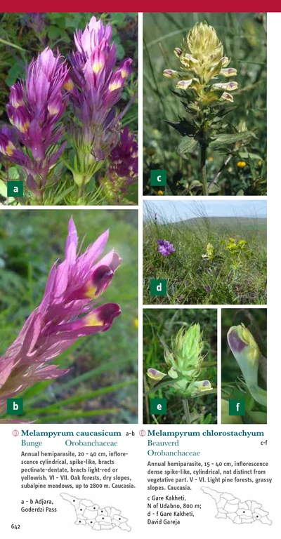 Beispiel aus dem Inhalt: