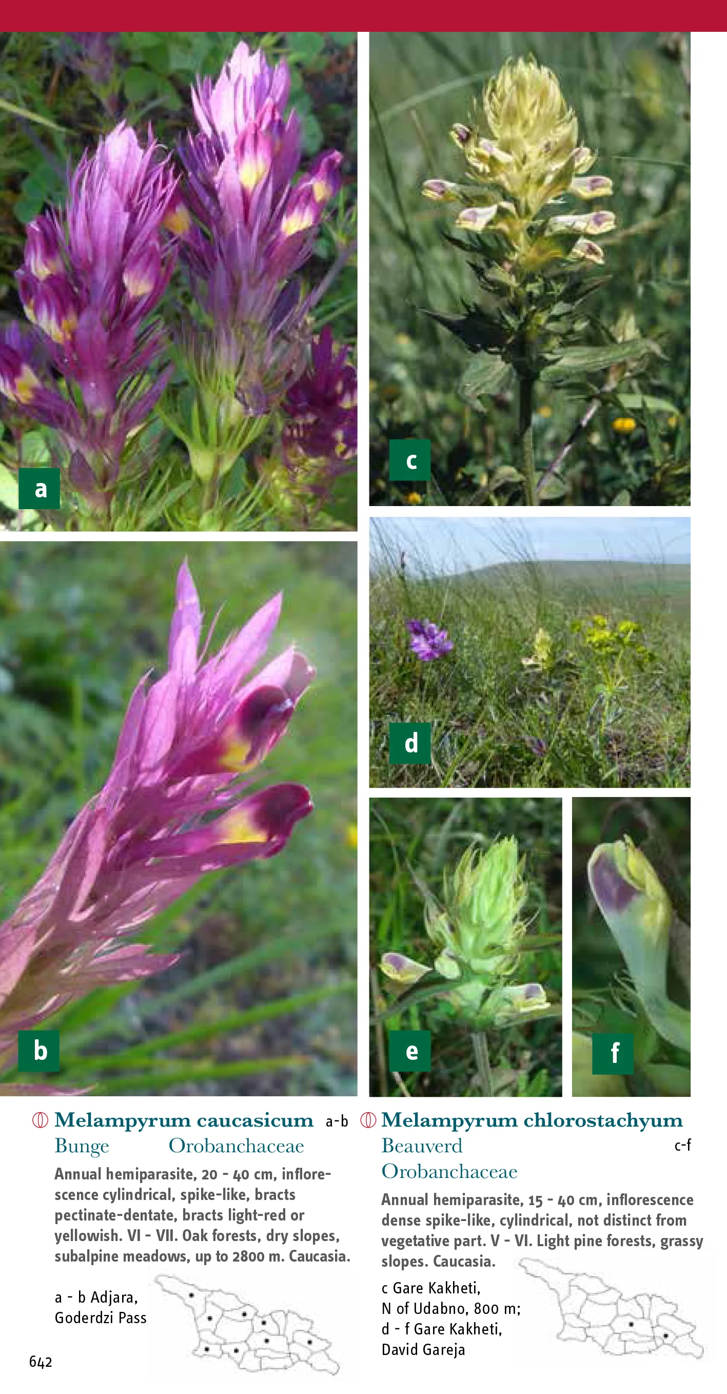 Beispiel aus dem Inhalt: