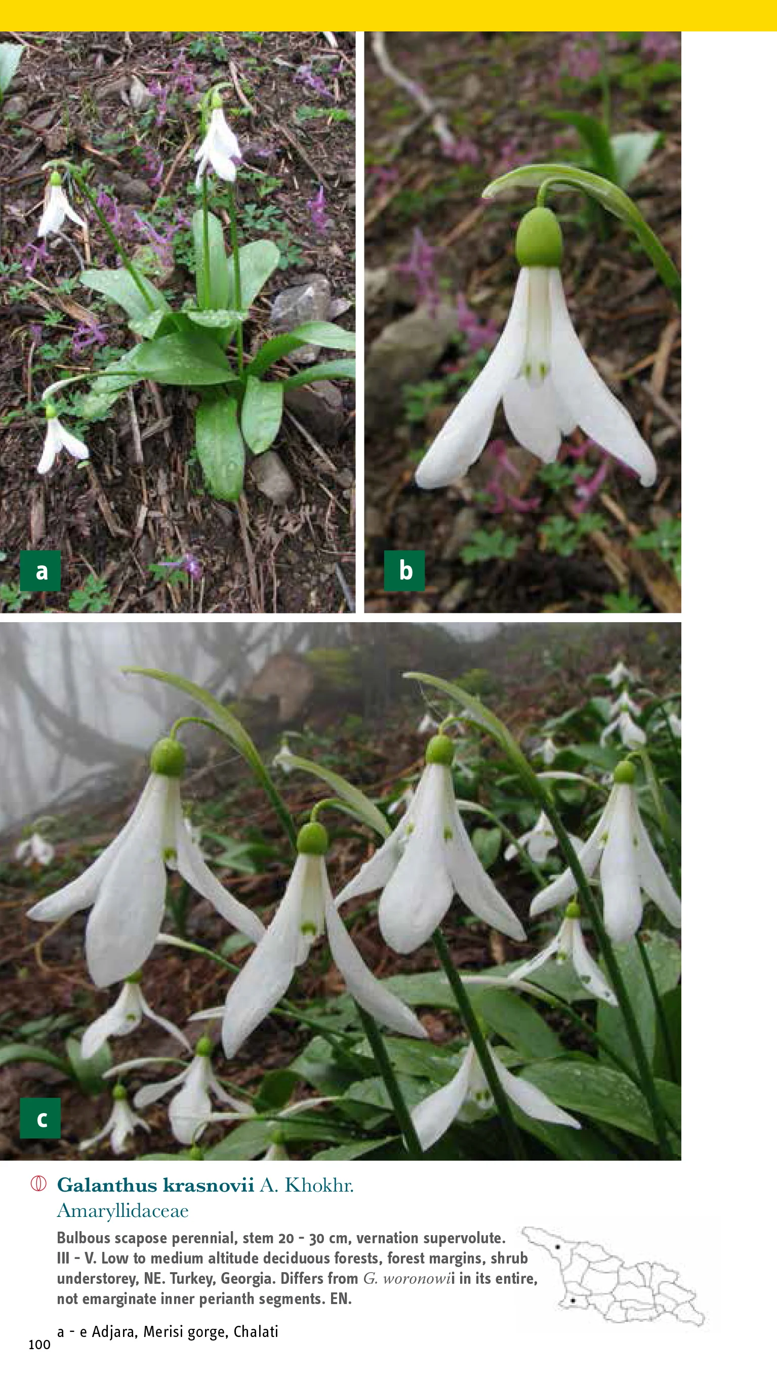 Beispiel aus dem Inhalt: