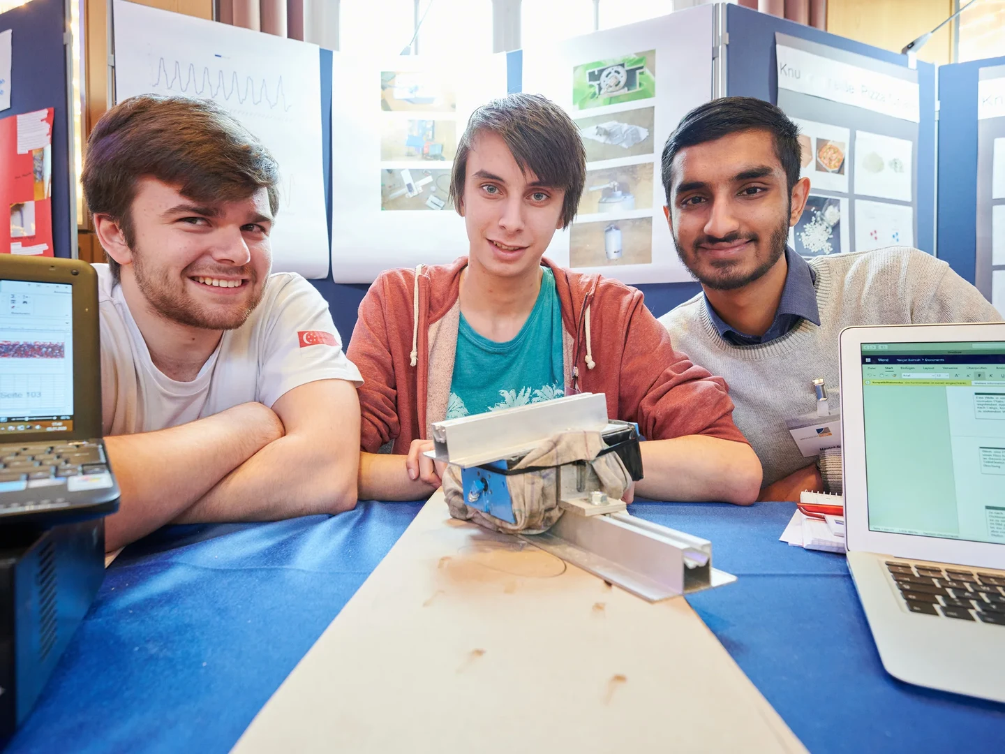 Wie lassen sich in Rigips-Platten Risse anhand der Schwingungseigenschaften erkennen?