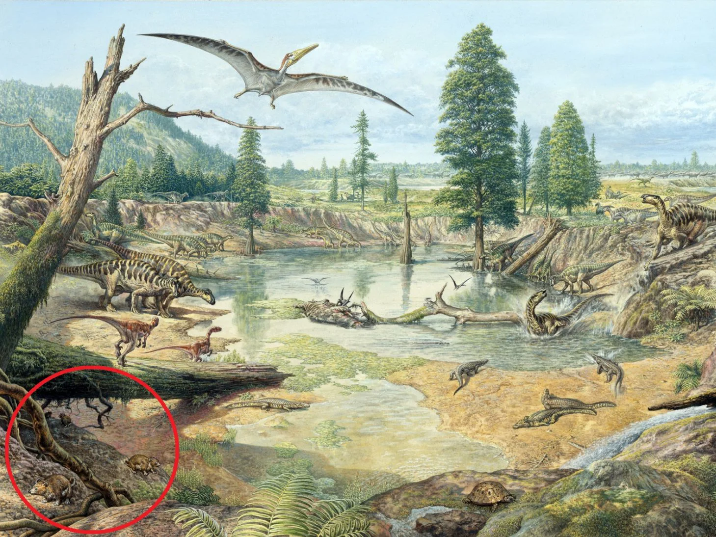 Wissenschaftler entdeckten in der Nähe des Hönnetals