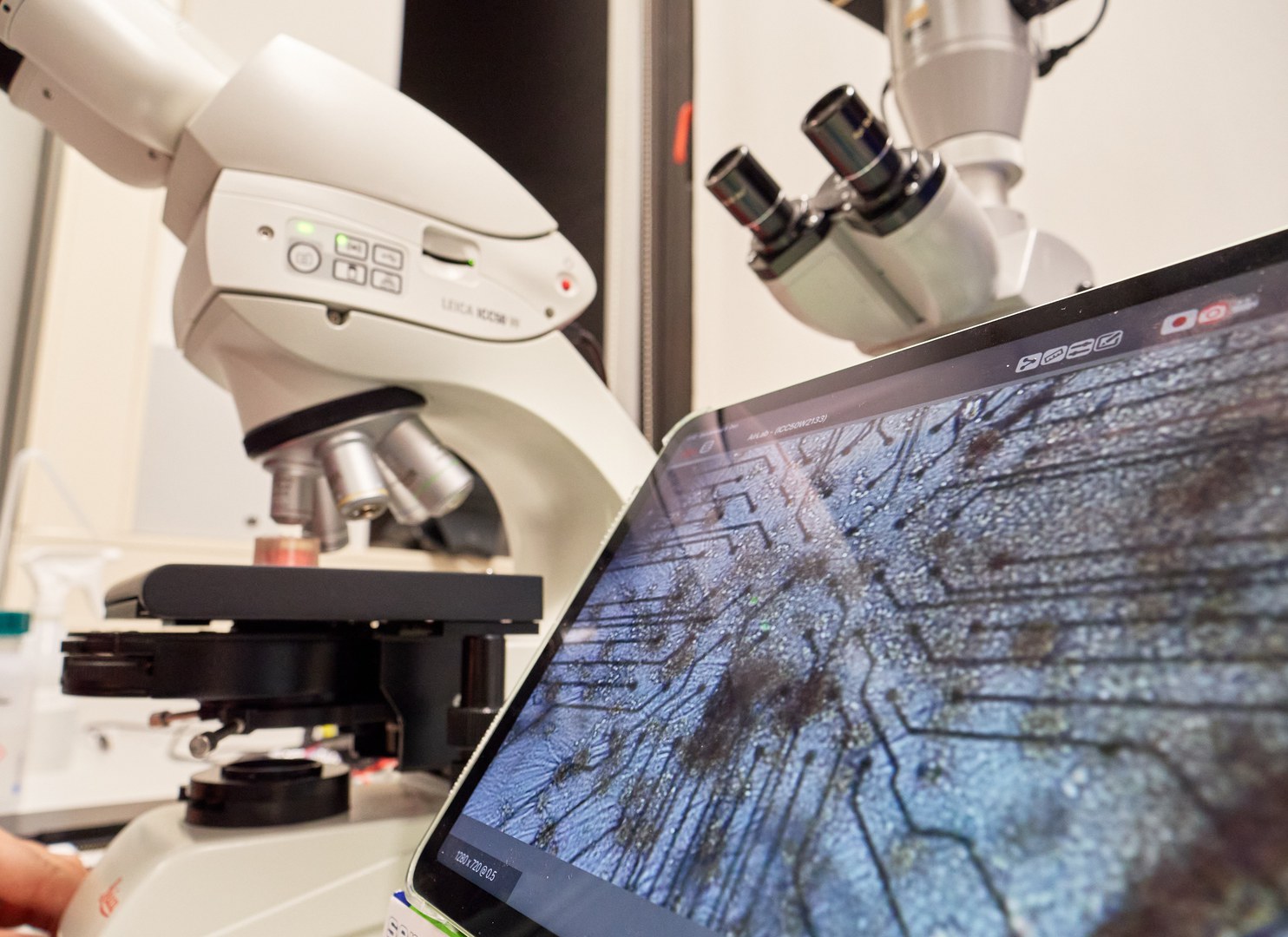 Unter dem Mikroskop: Signalmessung der neuronalen Netzwerke im Biologielabor