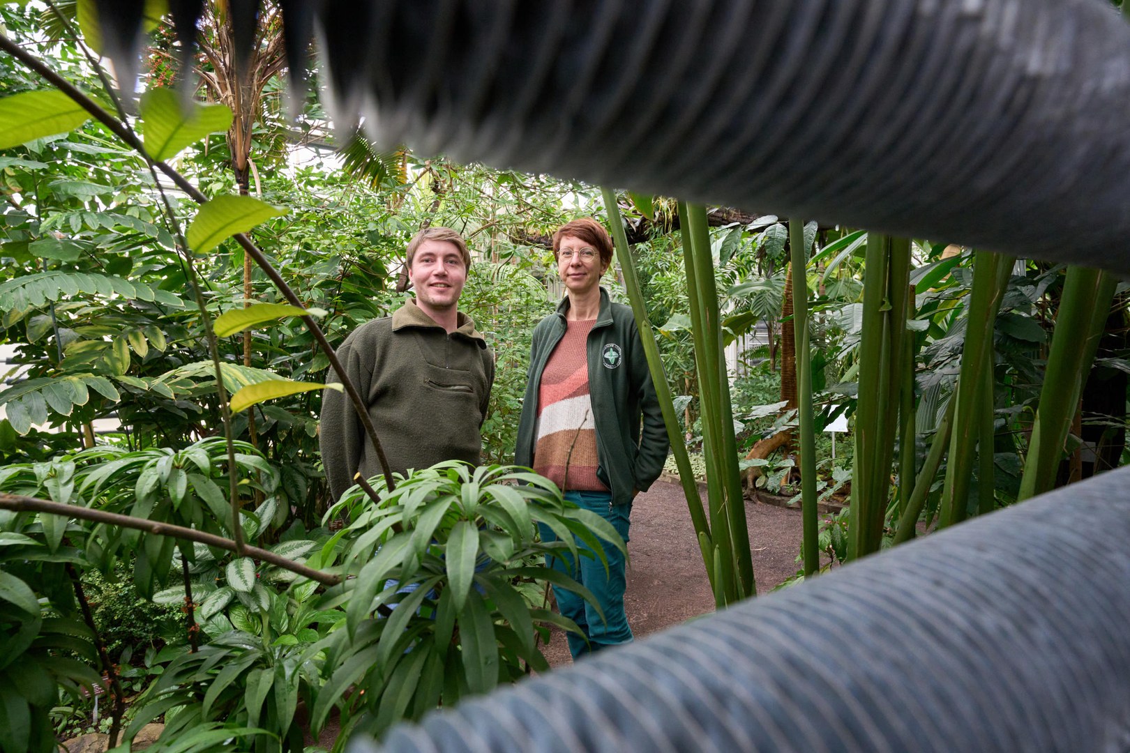 Cornelia Löhne steht mit Gärtnermeister Patrick Bartsch, der für die Steuerung der Heizungsanlage zuständig ist, im Regenwaldgewächshaus. Im Vordergrund eines der Heizelemente, das für die tropischen Temperaturen sorgt.