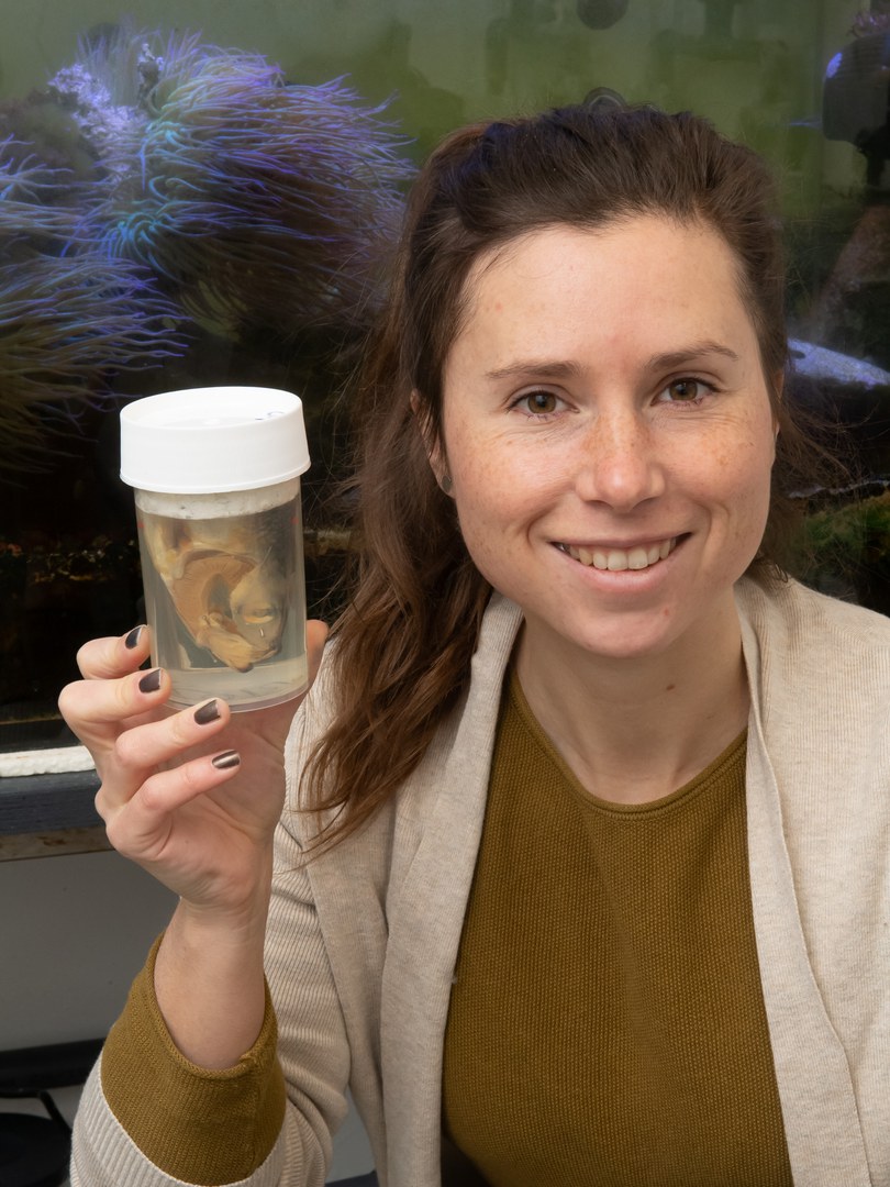 Leandra Hamann hält ein Glas, in dem der Kopf eines filtrierenden Herings konserviert ist. Im Hintergrund ist ein Meerwasseraquarium mit Anemonen zu sehen.