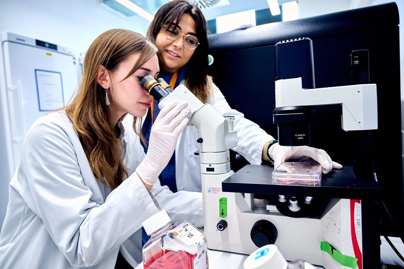 The over 80 research groups in the ImmunoSensation Cluster of Excellence, which was set up in 2012, all have one thing in common: they see the immune system as a “sensory organ.” Drawn from the fields of immunology, neuroscience, system biology, bioinformatics, mathematics and clinical research, they have played a big part in identifying and characterizing key innate immune system sensors, decoded new immune activations mechanisms and elevated the concept of immune sensing to international prominence. 