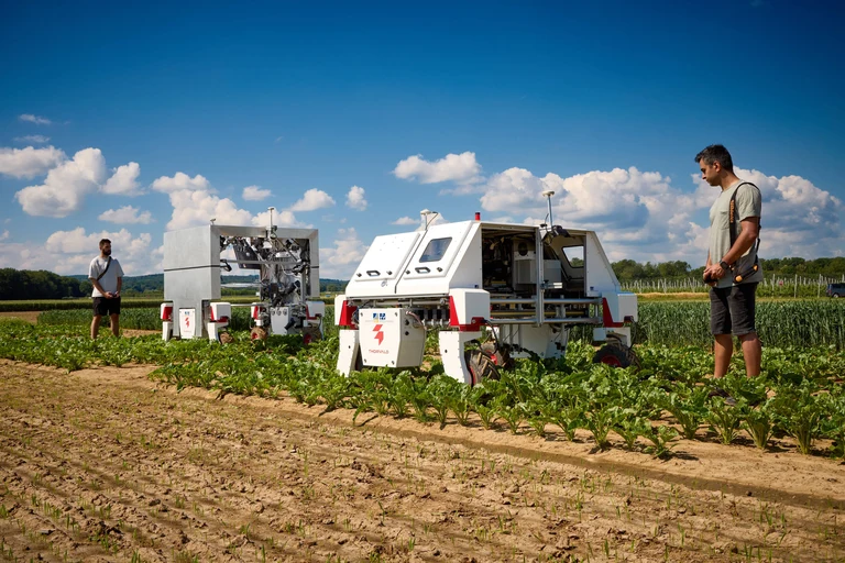 Felix Esser (left) and Alireza Ahmadi (right) testing out the BonnBot’s powers of weed control. 