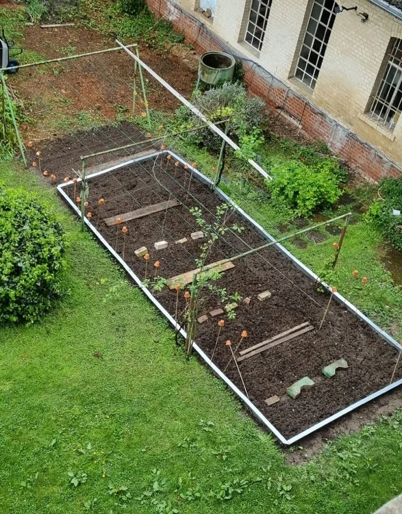 Acker von oben im April.webp