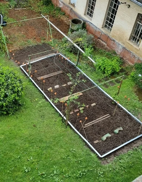 Acker von oben im April.webp