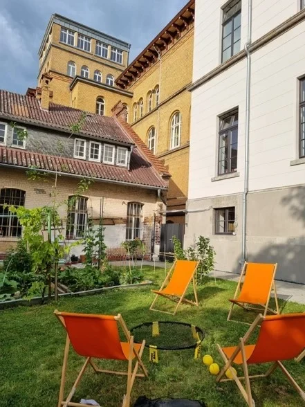 Sonne genießen am Acker.webp