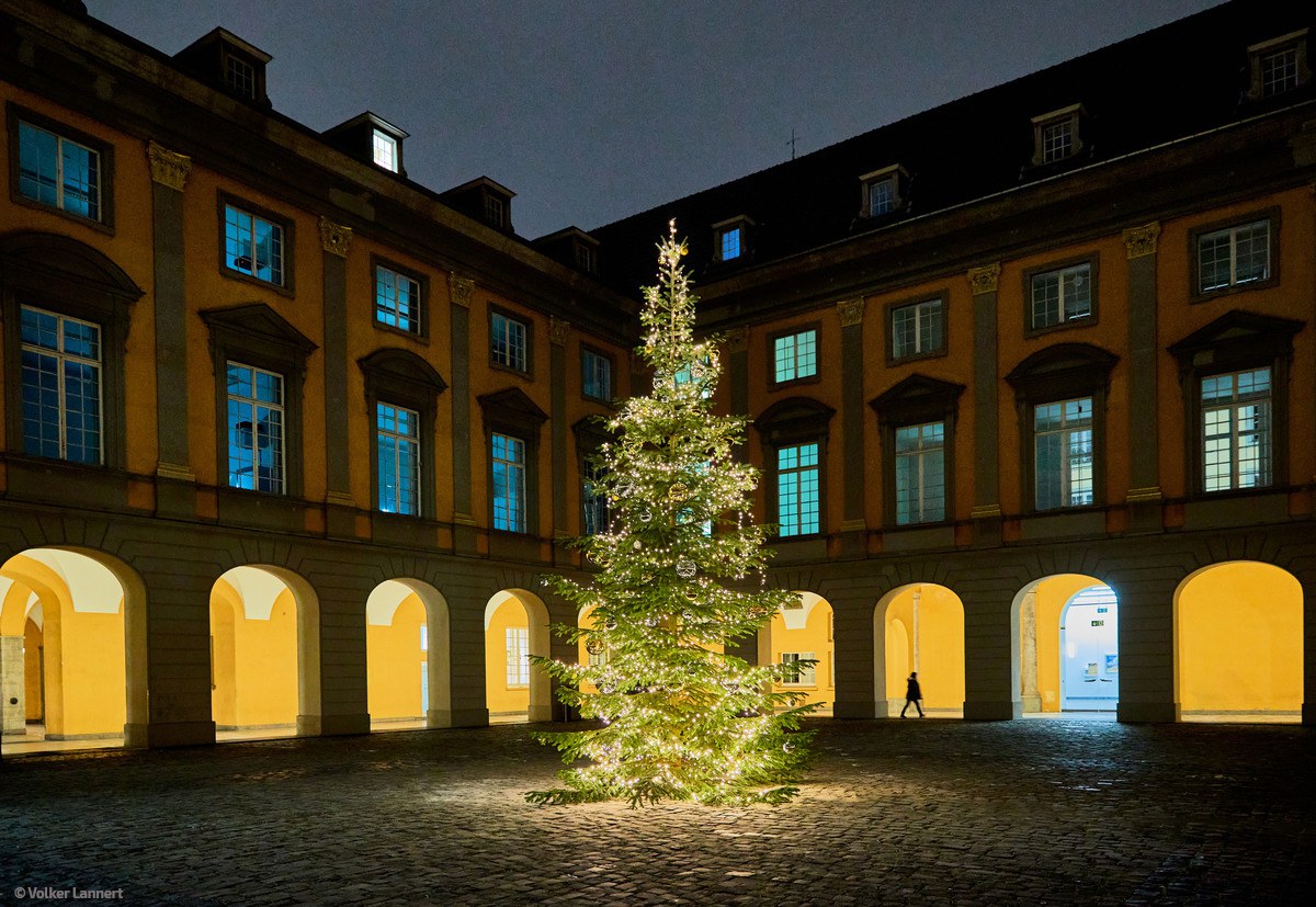 Weihnachtsbaumaktion 2022 an der Uni Bonn.