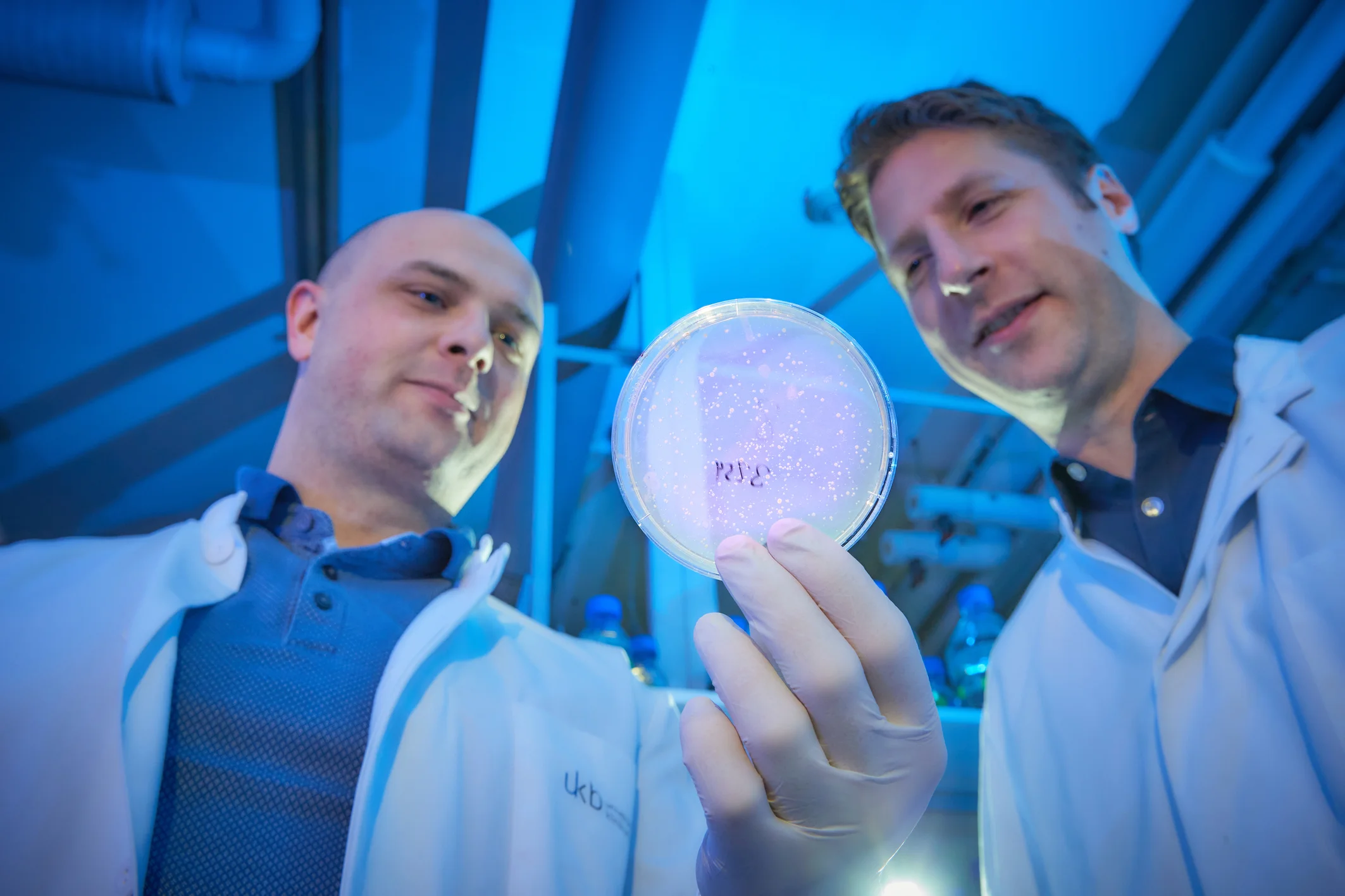 New promising antibodies against SARS-CoV-2