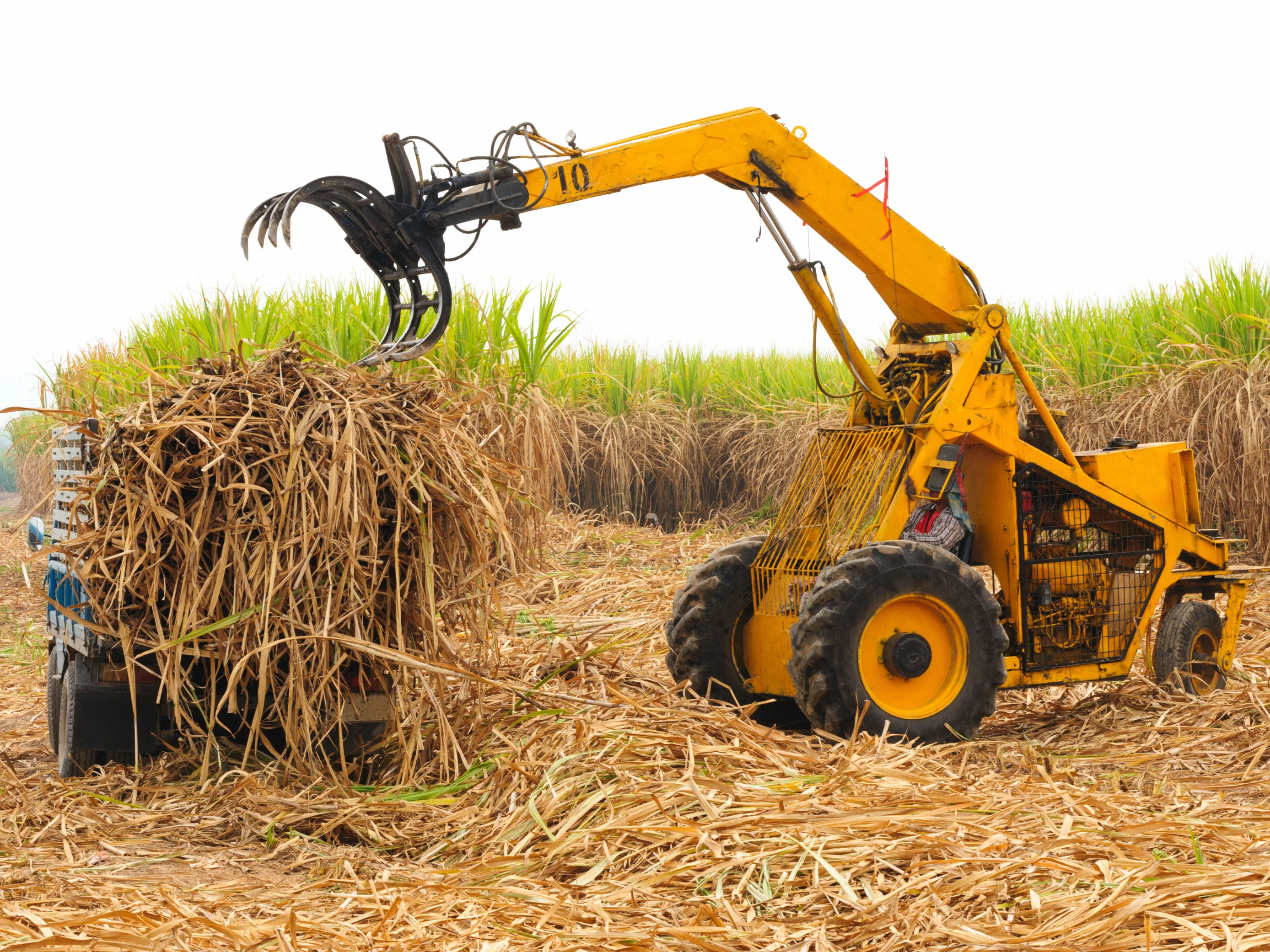 Bioplastics in the sustainability dilemma