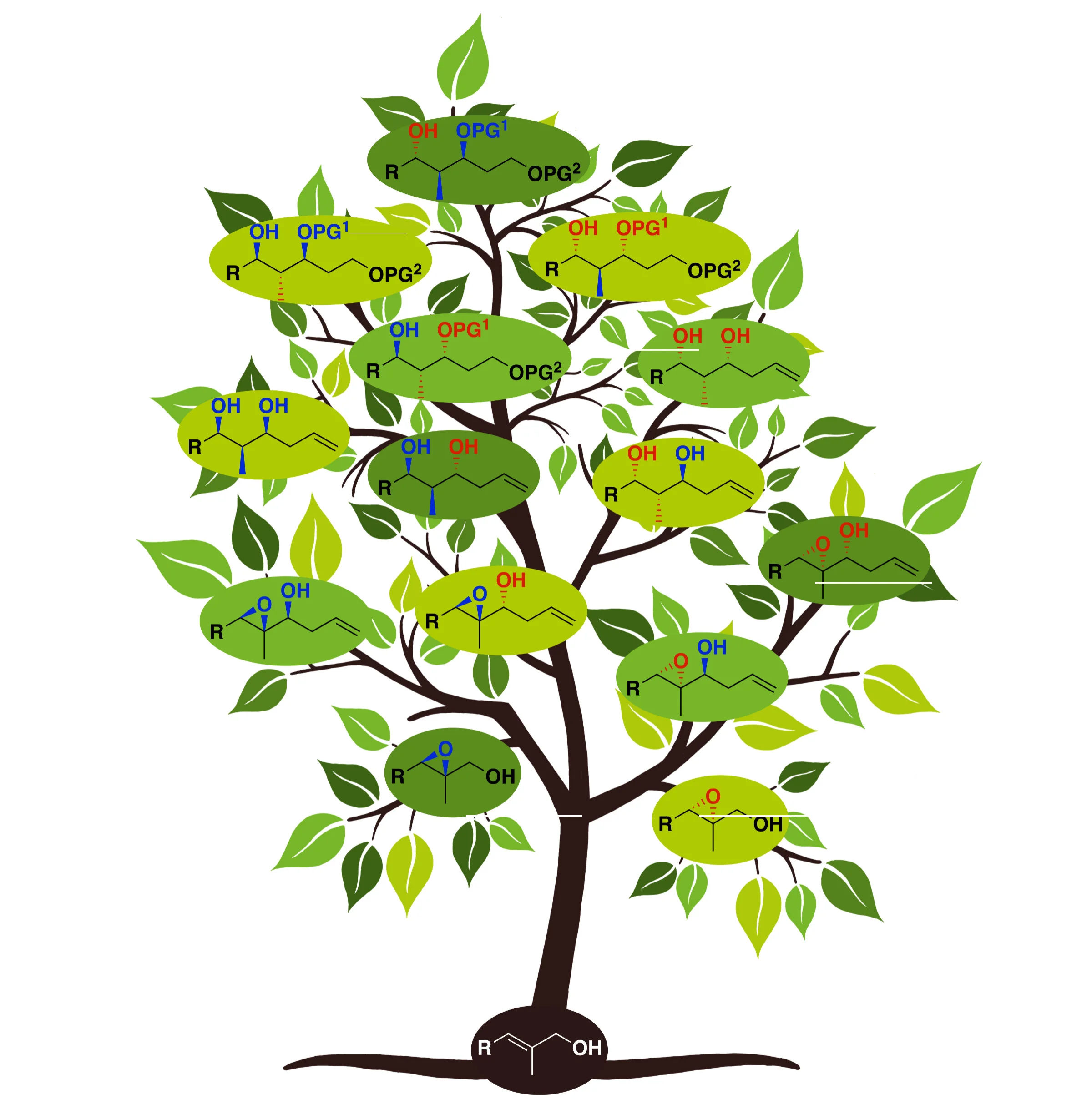 Chemists at the University of Bonn