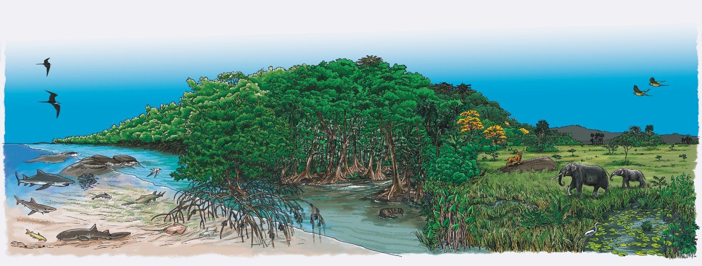Artistic reconstruction of the Kourou landscape