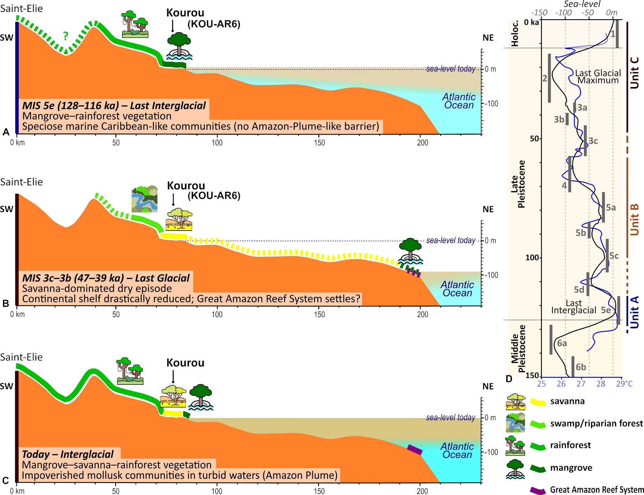 Hypothetical development of Late Pleistocene and Holocene landscapes in French Guiana: