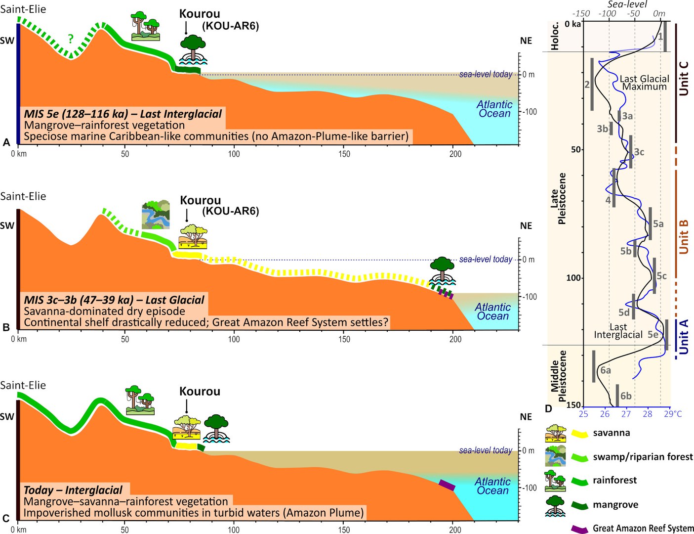 Hypothetical development of Late Pleistocene and Holocene landscapes in French Guiana: