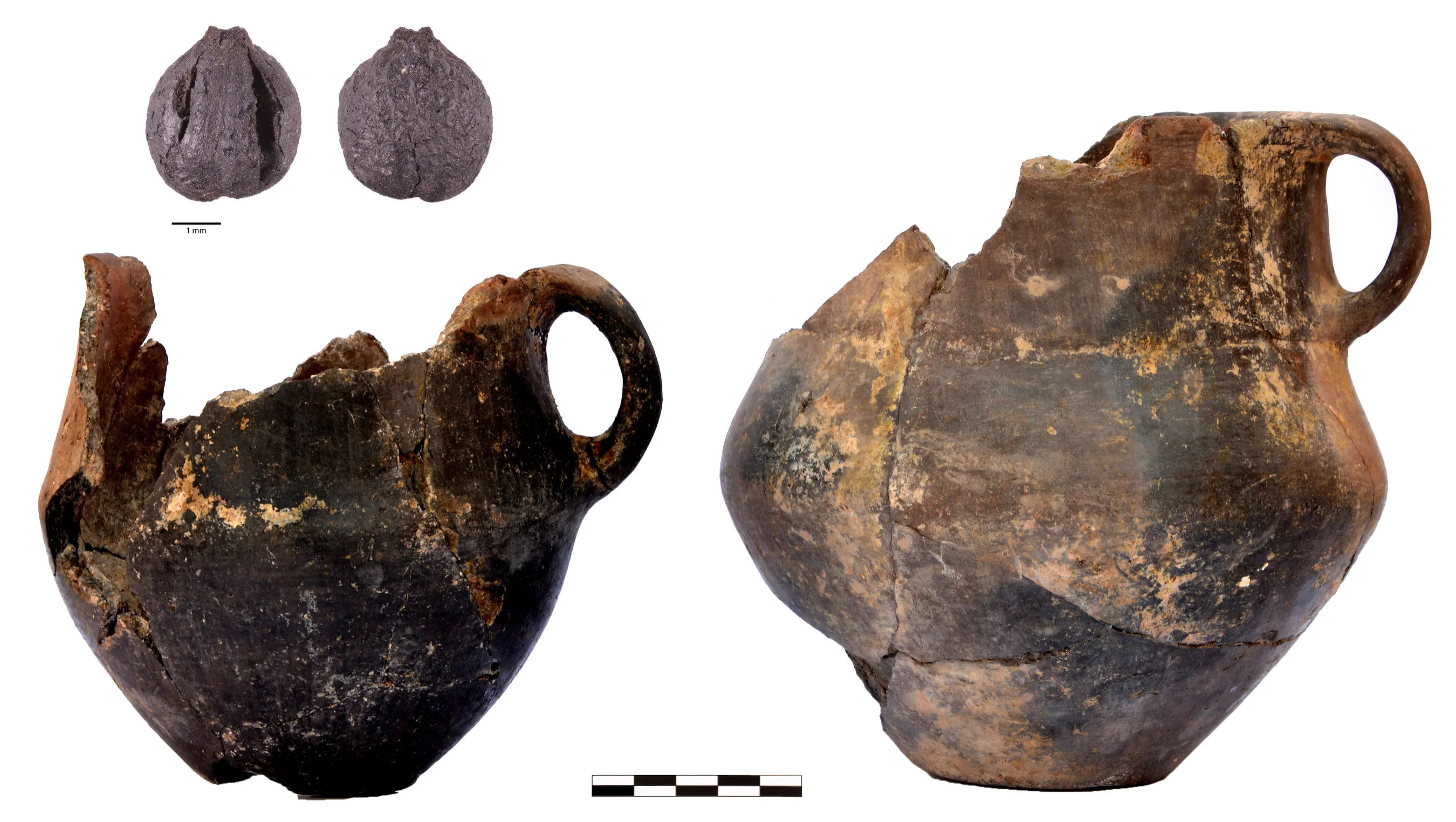 What did people eat and drink in the Bronze Age South Caucasus?
