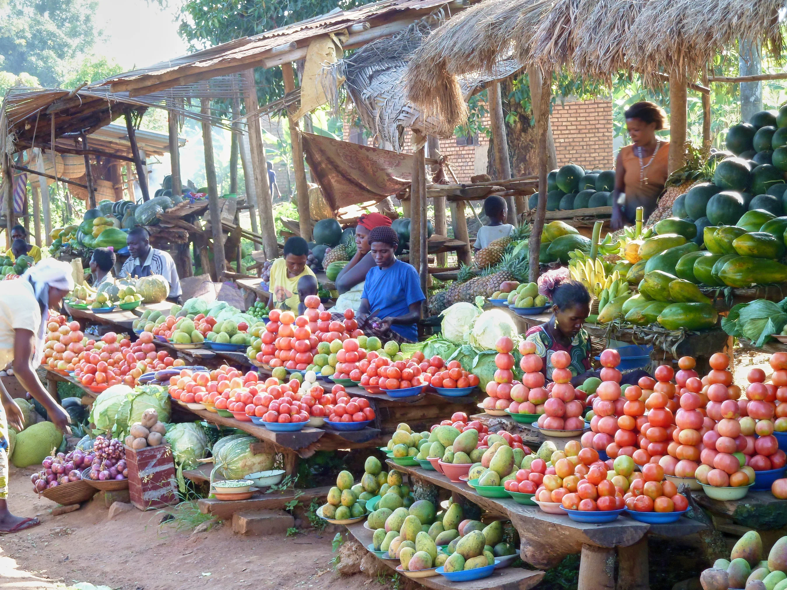 Less hunger, more environmental problems?