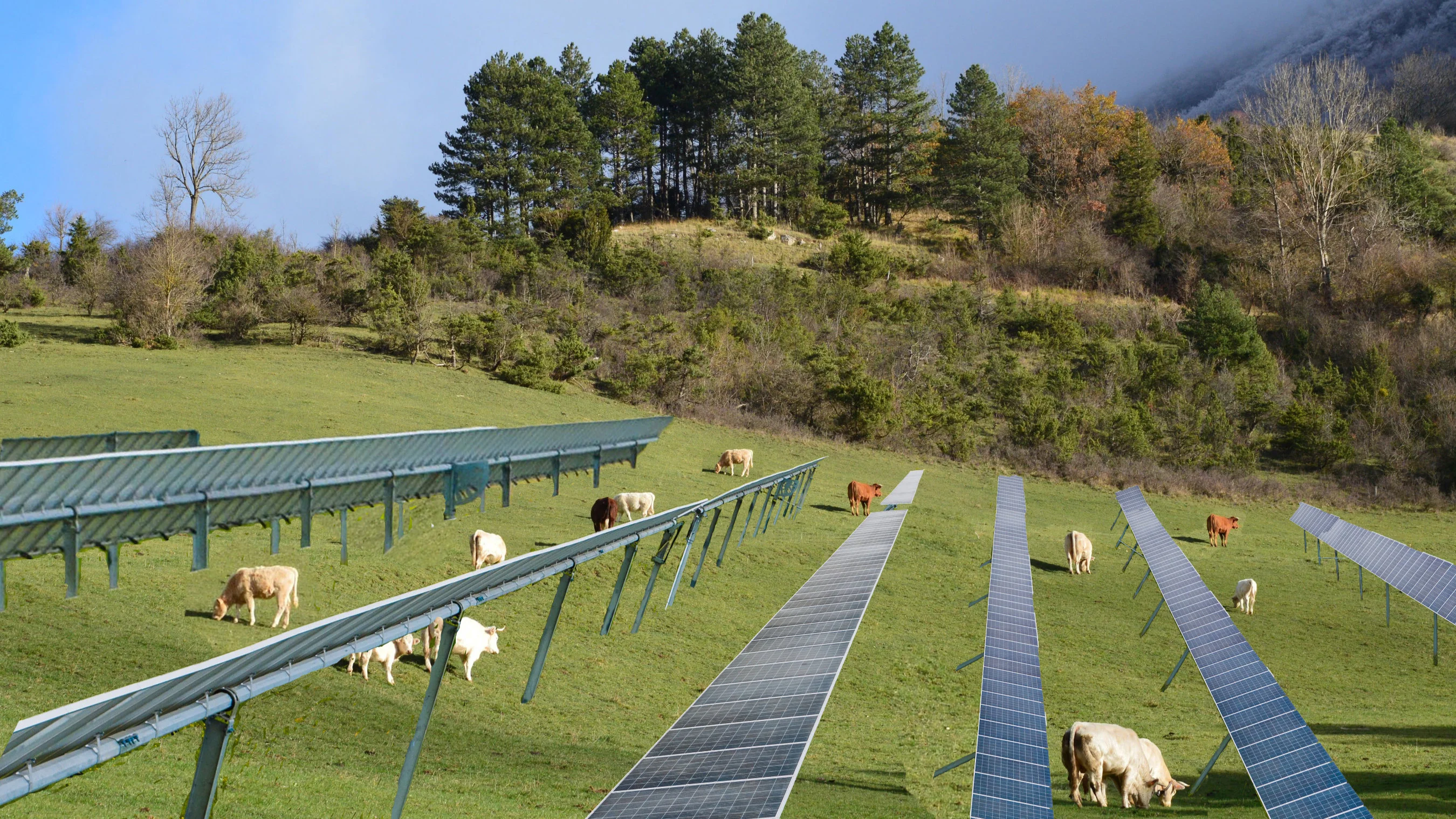 Agri-PV enjoys comparatively high acceptance
