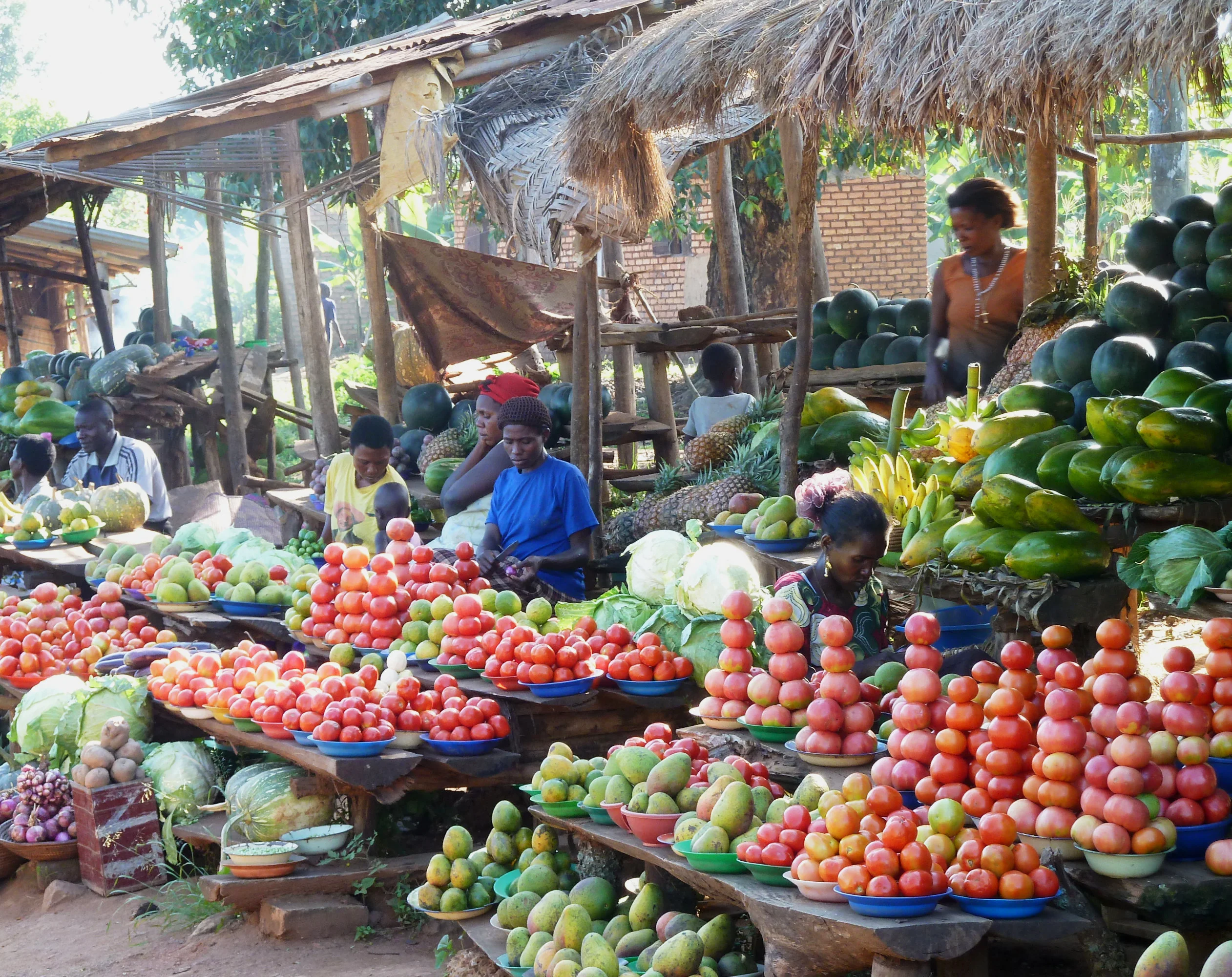 What benefits nutrition in Africa the most