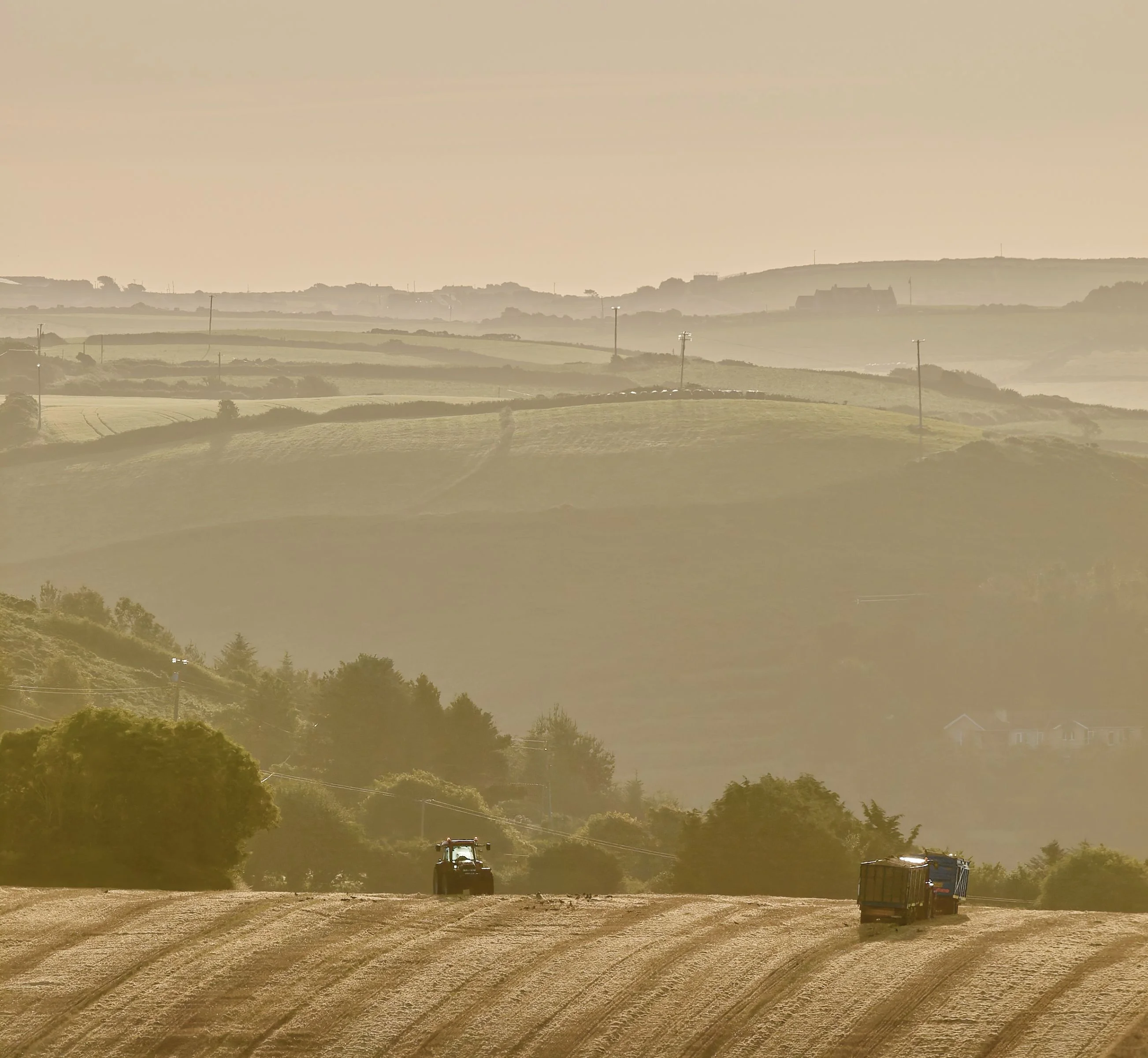 Agri-Environmental Policies Improve Cropland Around the World