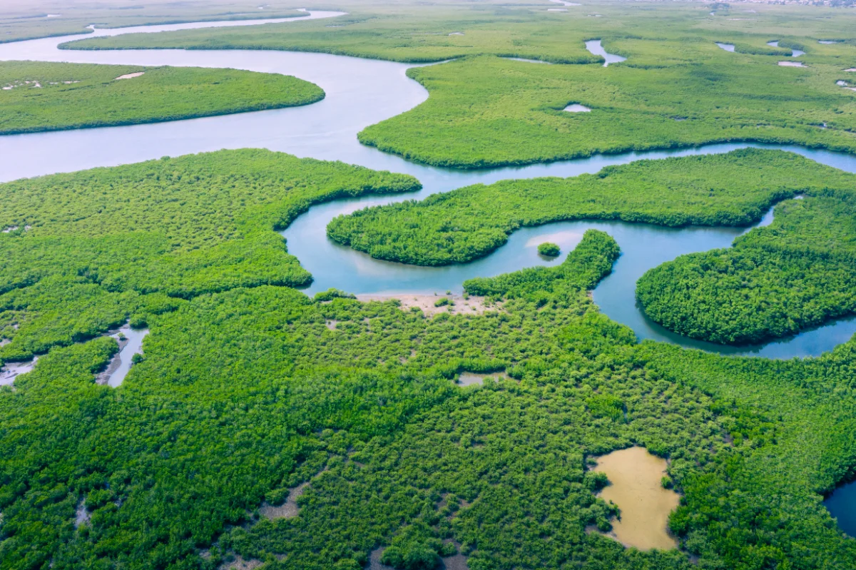 Research for sustainable food systems