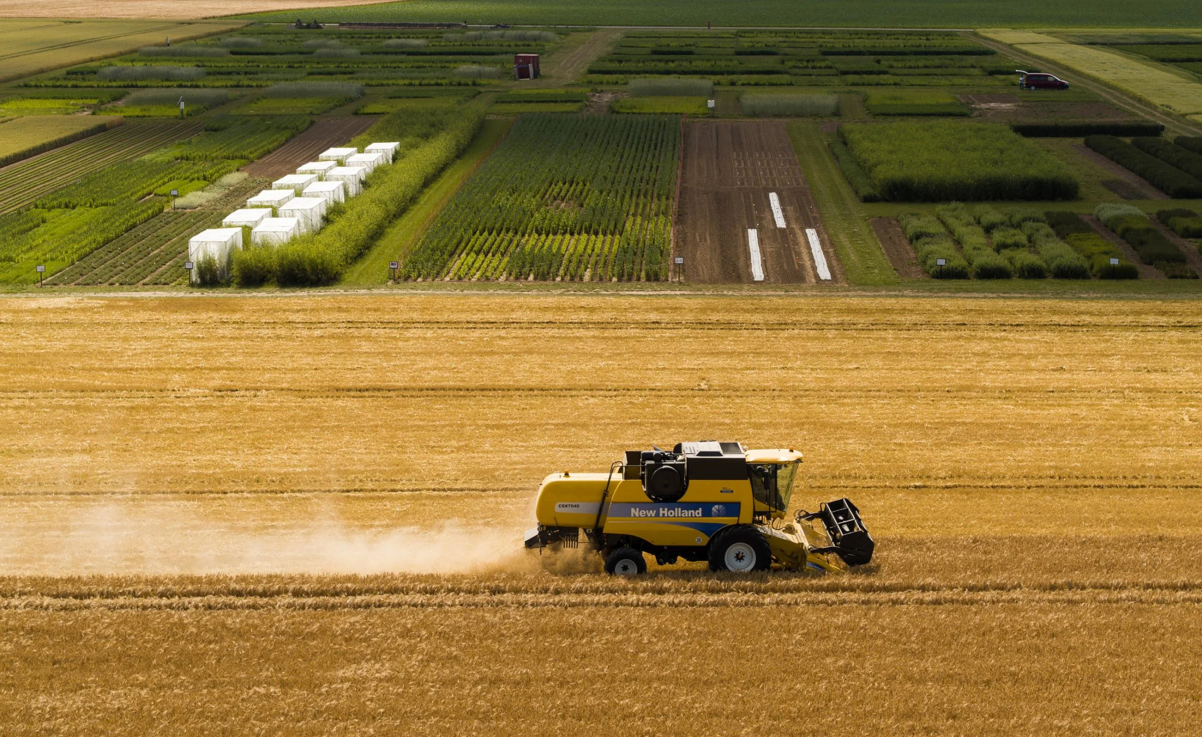 Land Degradation Significantly Reduces Crop Yields