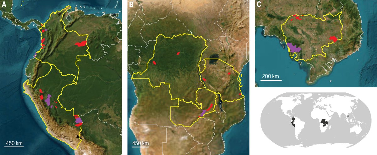 Voluntary REDD+ project sites included in the study: