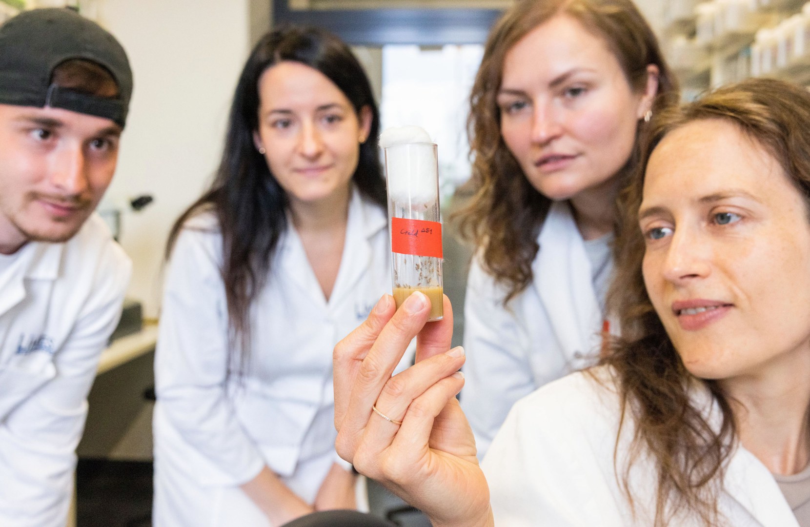 A research team from the University of Bonn has studied the function of a protein in flies. From left to right: Santiago Maya, Dr. Gabriela Edwards Faret, Nicole Kucharowski and study leader Dr. Margret Helene Bülow.