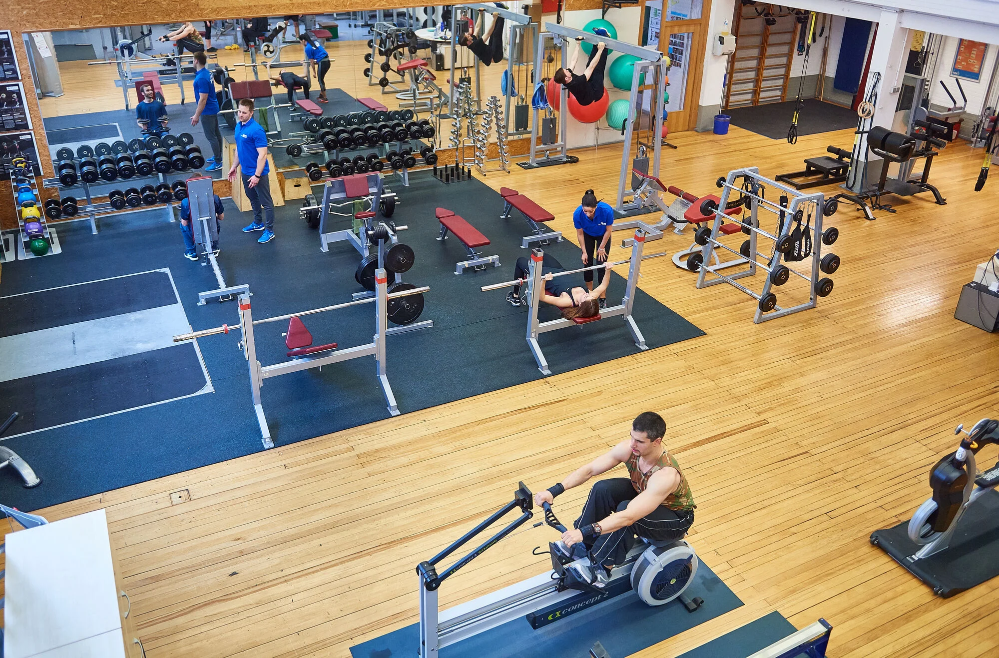 Strength Training Activates Cellular Waste Disposal