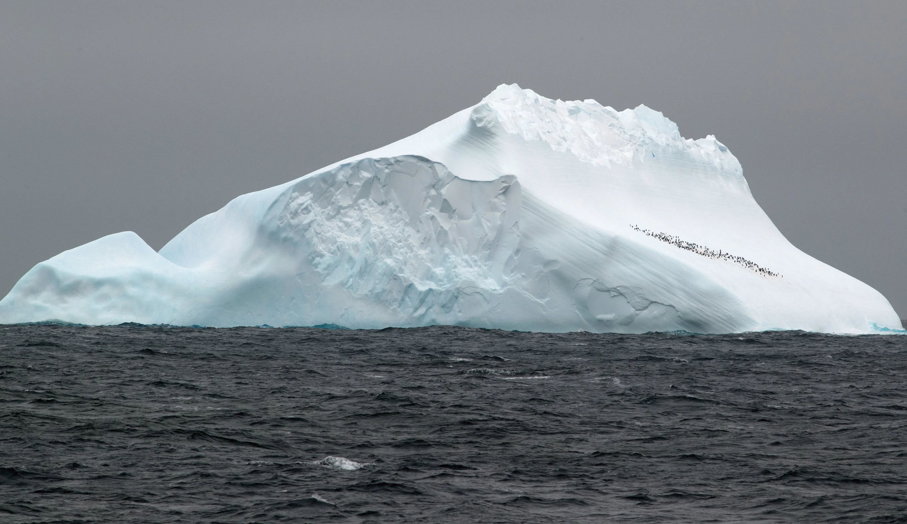 Iceberg in the Scotia Sea.