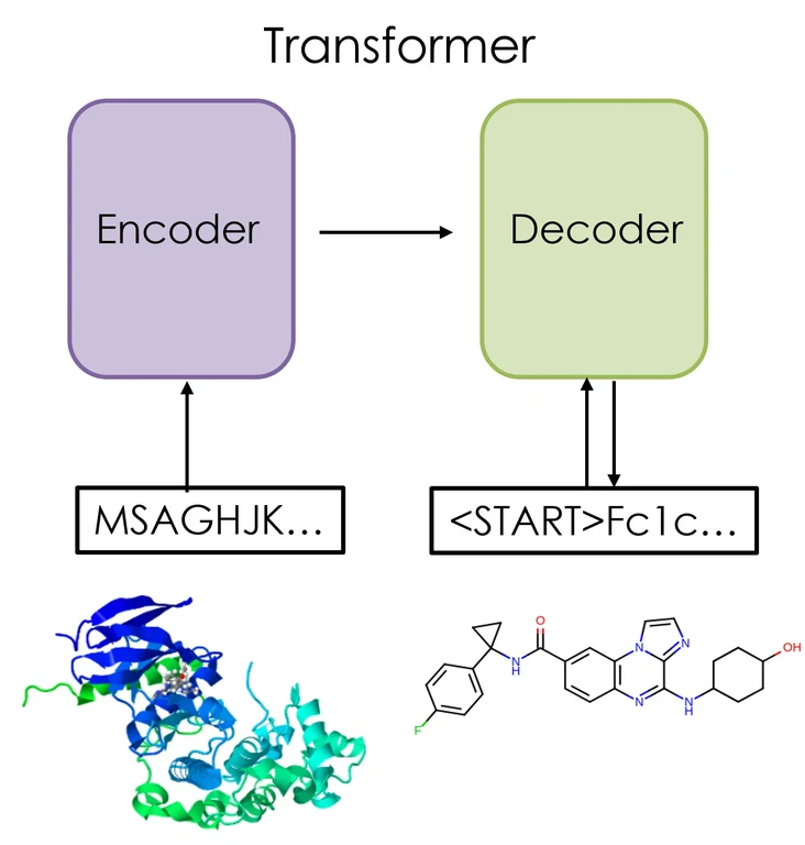 Schematic representation of a transformer model