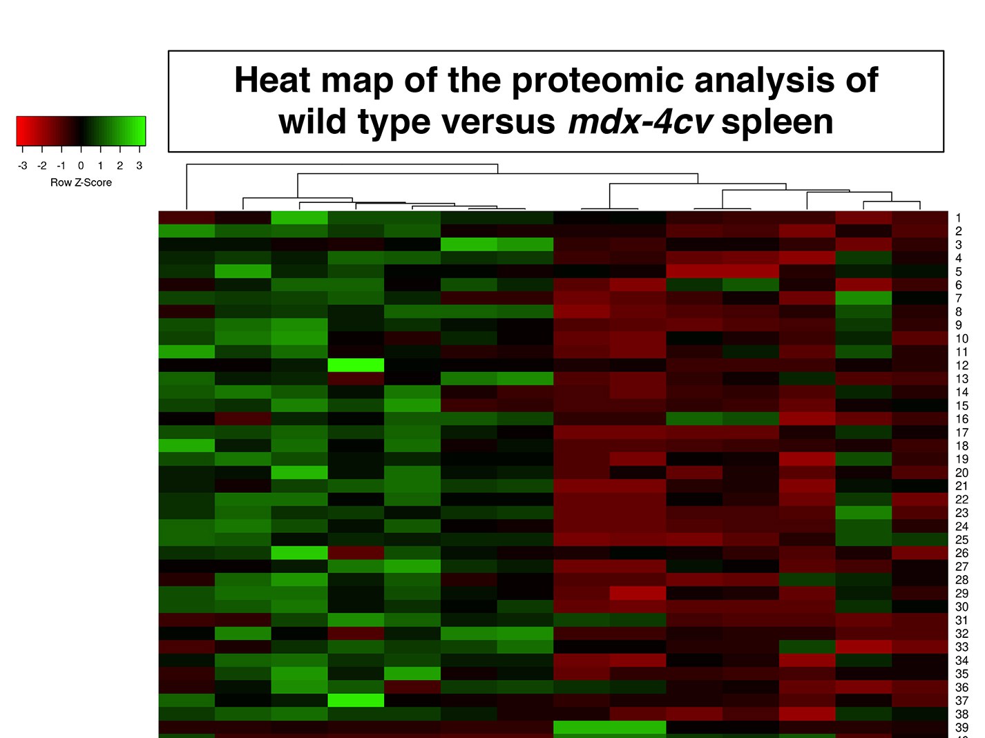 "Heat map" of proteome analysis: