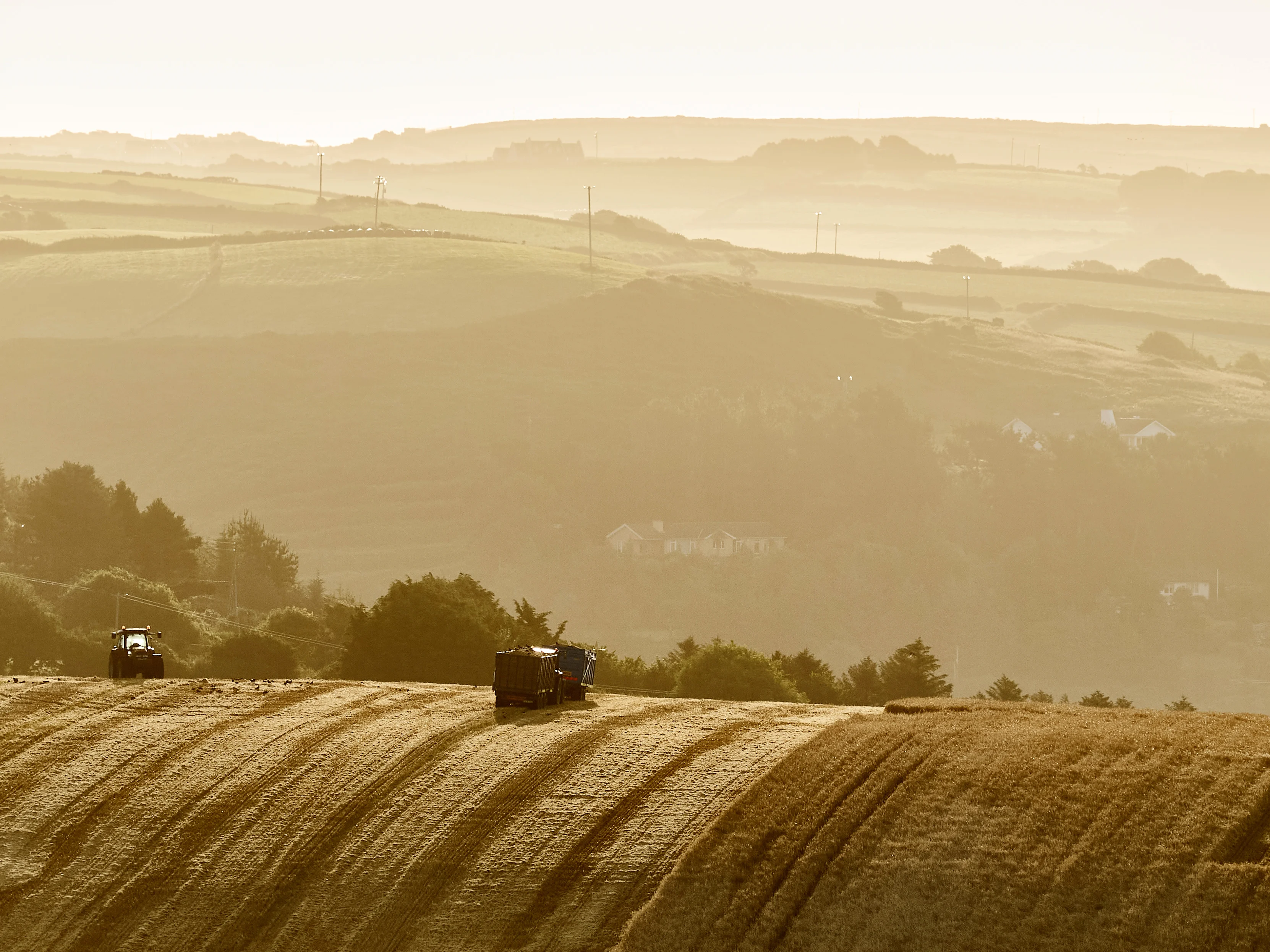 Saving the climate from the ground up
